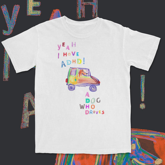 a dog who drives - Wear Yaani