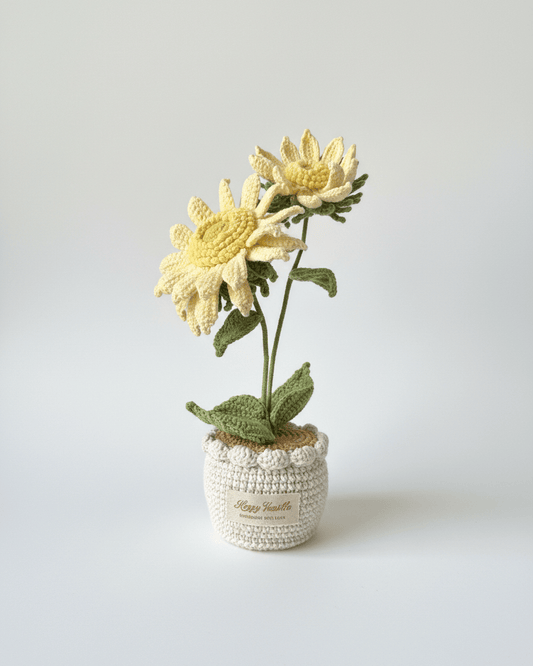 Dawn's Eye Daisies - Wear Yaani