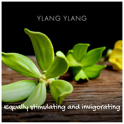 Natural Soap - Ylang Ylang - Wear Yaani